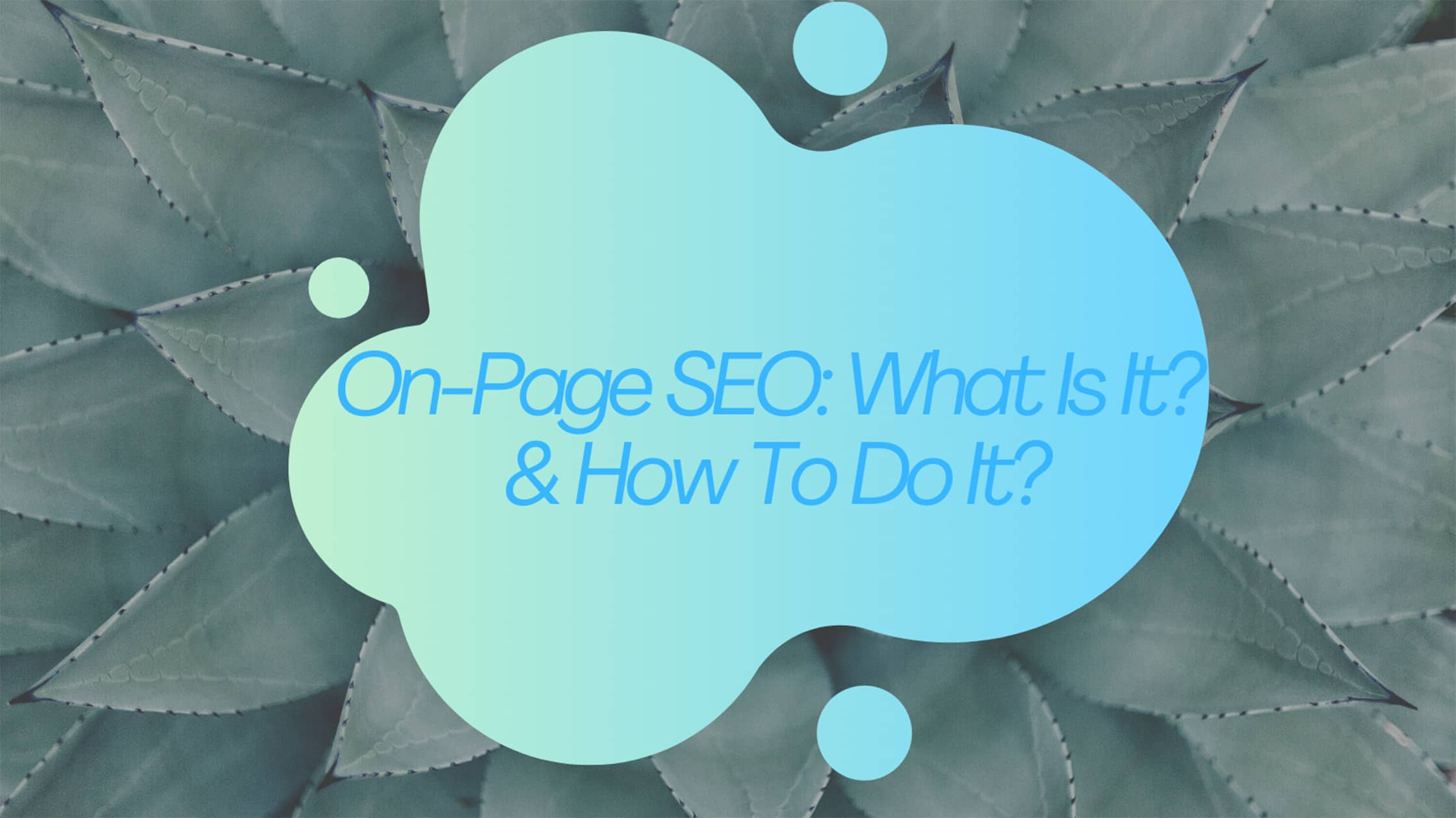 Read more about the article On-Page SEO: What Is It And How To Do It?